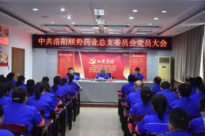 洛陽(yáng)順勢(shì)藥業(yè)有限公司黨總支召開(kāi)黨員大會(huì) 會(huì)議選舉產(chǎn)生新一屆總支委員會(huì)